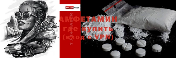 мет Алексин