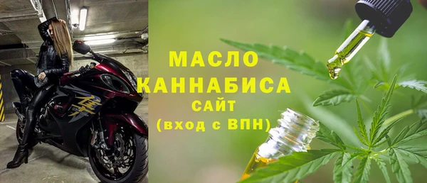 мет Алексин