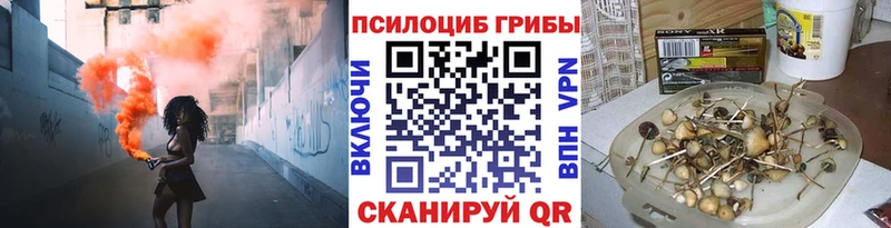 Псилоцибиновые грибы Magic Shrooms  хочу наркоту  ссылка на мегу ТОР  Андреаполь 